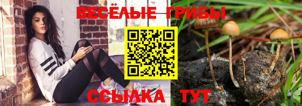 Сухой Лог  Галлюциногенные грибы ЛСД  Псилоцибиновые грибы Magic Shrooms  Вход с VPN 