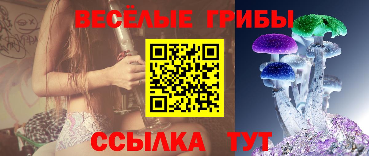 Галлюциногенные грибы Cubensis Сухой Лог